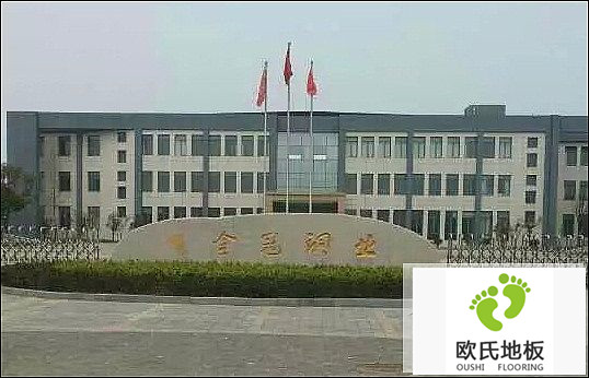 楓木運動木地板施工案例-安徽銅陵有色金冠銅業(yè)文體活動中心