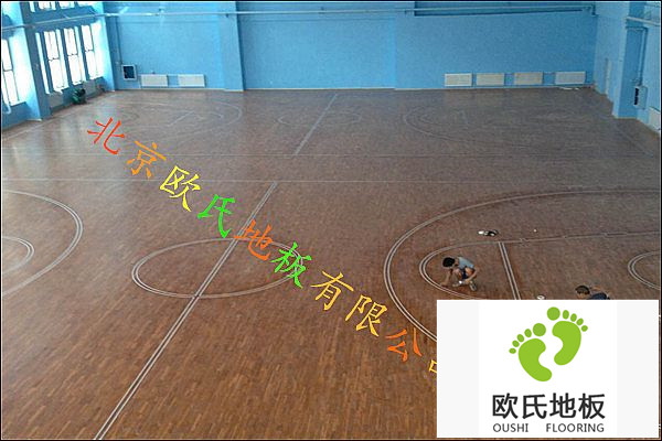 歐氏籃球木地板，5大特點遙遙領先！